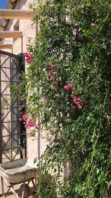 Vila La Pedrera Rosa/The Pink Pedrera Balata di Baida 0*,