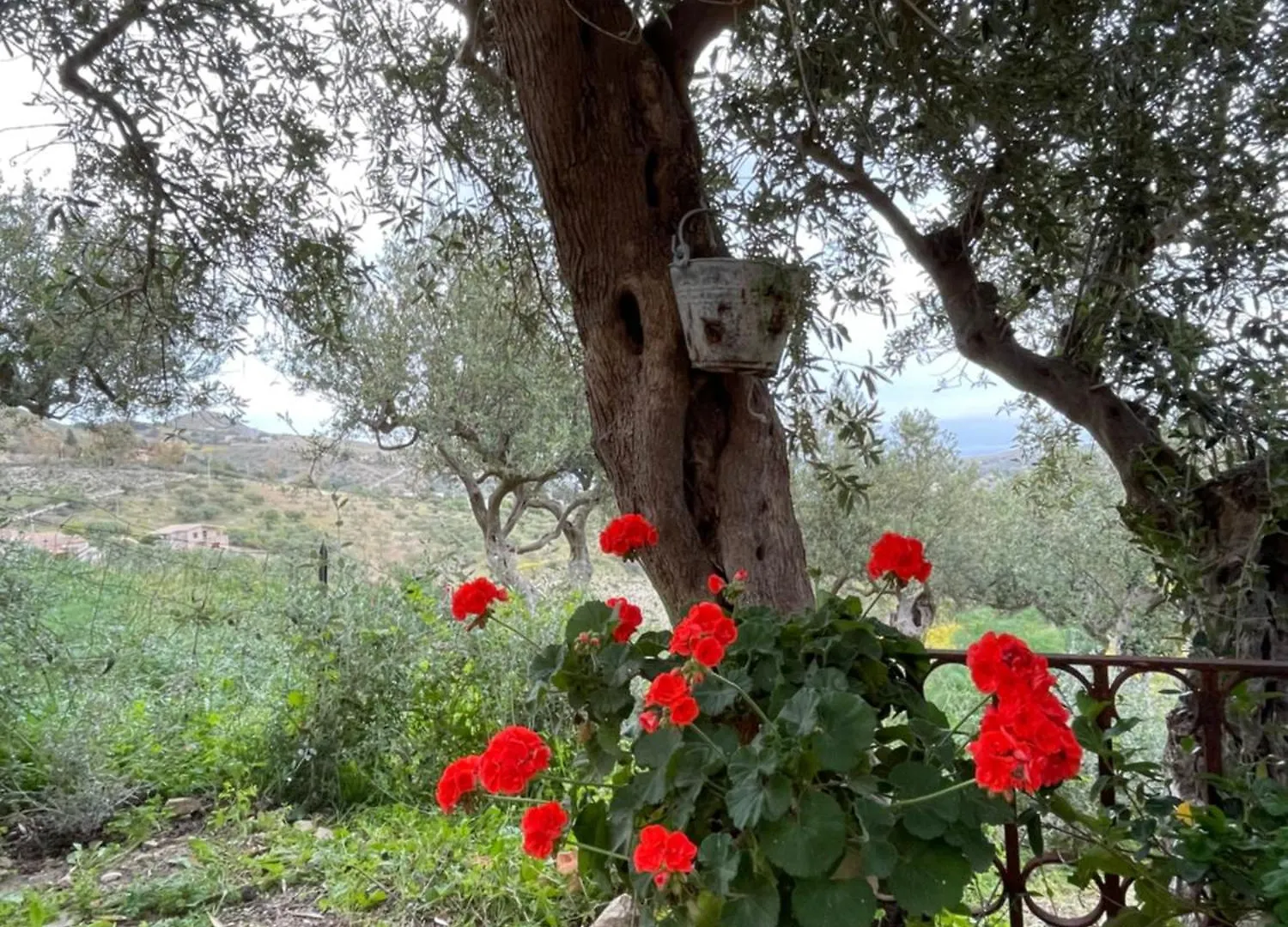 Vila La Pedrera Rosa/The Pink Pedrera Balata di Baida Prázdninový dům